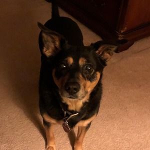 Meet your Posher, Lucy jones